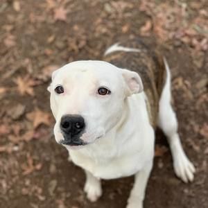 Meet your Posher, Jillian